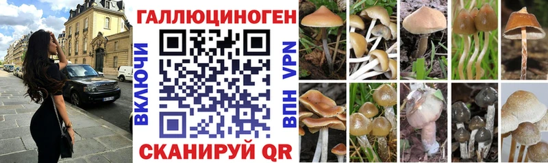 продажа наркотиков Кунгур маркетплейс официальный сайт Псилоцибиновые грибы MAGIC MUSHROOMS